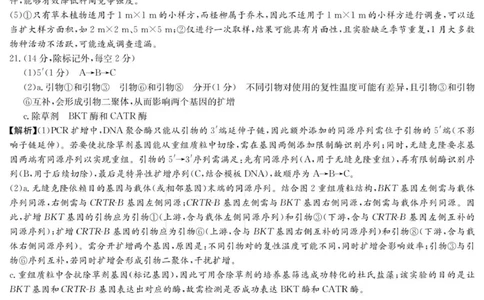 生物答案（26月考二Y）_2025年10月_251007湖南省长沙市第一中学2025-2026学年高三上学期月考（二）_湖南省长沙市第一中学2025-2026学年高三上学期月考（二）生物试题（扫描版，有解析）