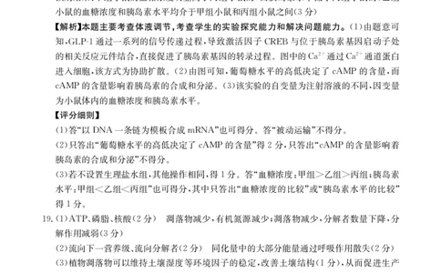 生物答案江西省2025届高三下学期5月百万大联考（金太阳25-517C）_2025年5月_2505272025届高三下学期5月百万大联考（金太阳25-517C）（全科）