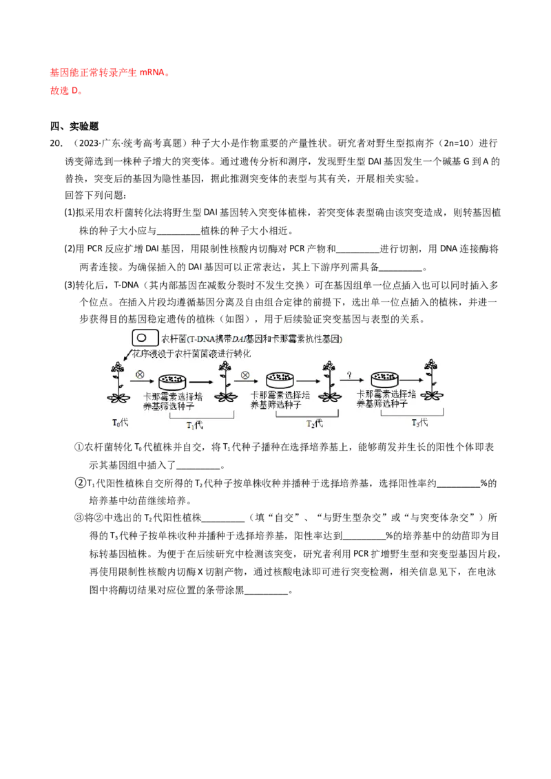 专题09变异、育种与进化（解析卷）_近10年高考真题汇编（必刷）_十年（2014-2024）高考生物真题分项汇编（全国通用）_2023年高考真题和模拟题生物分项汇编（全国通用）