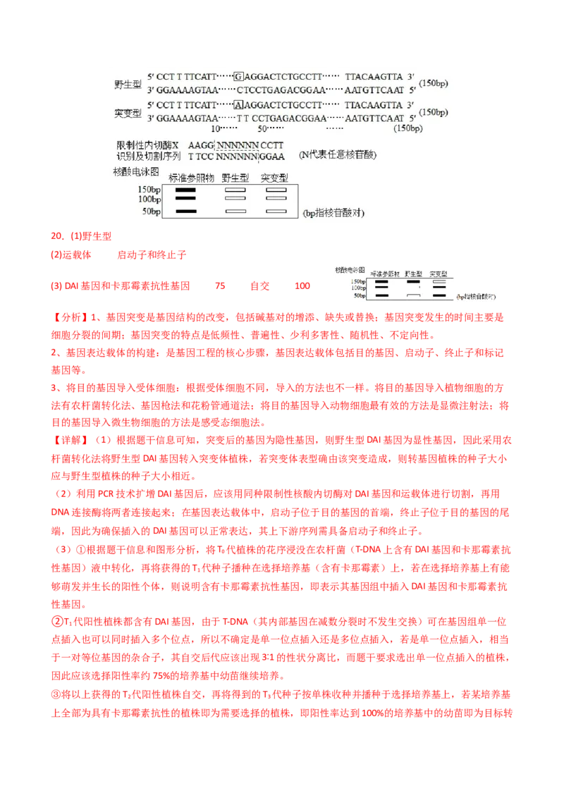 专题09变异、育种与进化（解析卷）_近10年高考真题汇编（必刷）_十年（2014-2024）高考生物真题分项汇编（全国通用）_2023年高考真题和模拟题生物分项汇编（全国通用）