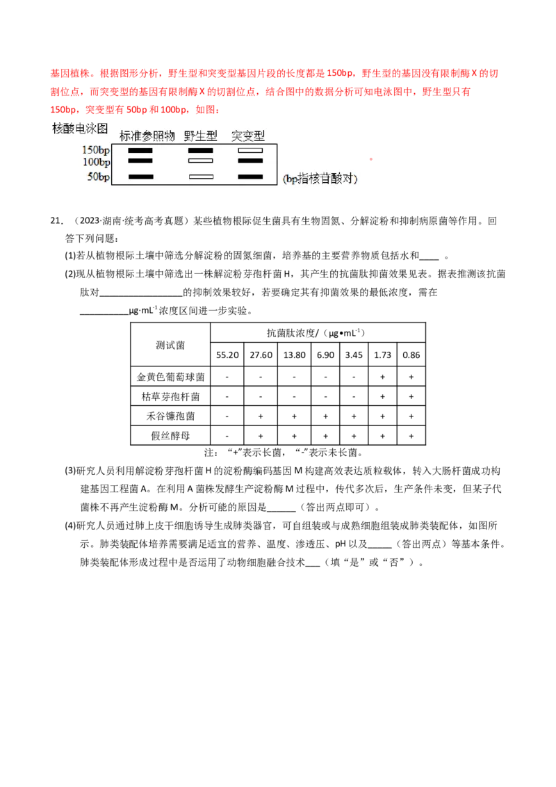 专题09变异、育种与进化（解析卷）_近10年高考真题汇编（必刷）_十年（2014-2024）高考生物真题分项汇编（全国通用）_2023年高考真题和模拟题生物分项汇编（全国通用）