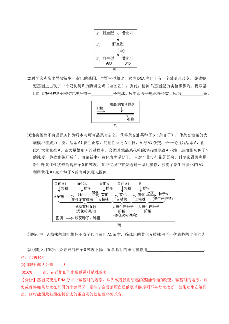 专题09变异、育种与进化（解析卷）_近10年高考真题汇编（必刷）_十年（2014-2024）高考生物真题分项汇编（全国通用）_2023年高考真题和模拟题生物分项汇编（全国通用）