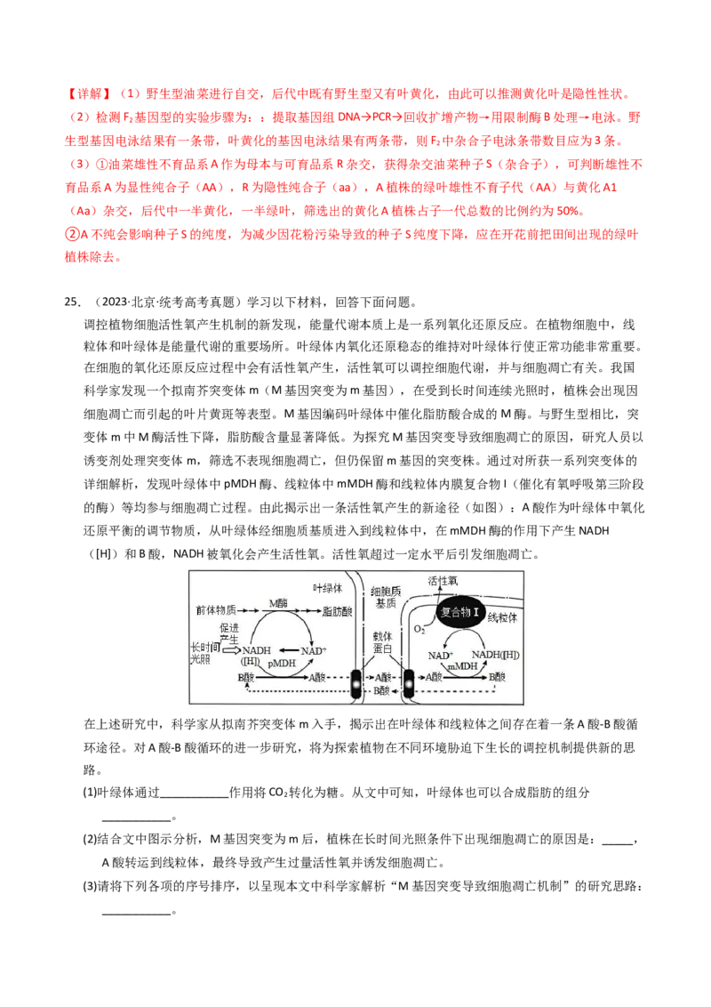 专题09变异、育种与进化（解析卷）_近10年高考真题汇编（必刷）_十年（2014-2024）高考生物真题分项汇编（全国通用）_2023年高考真题和模拟题生物分项汇编（全国通用）