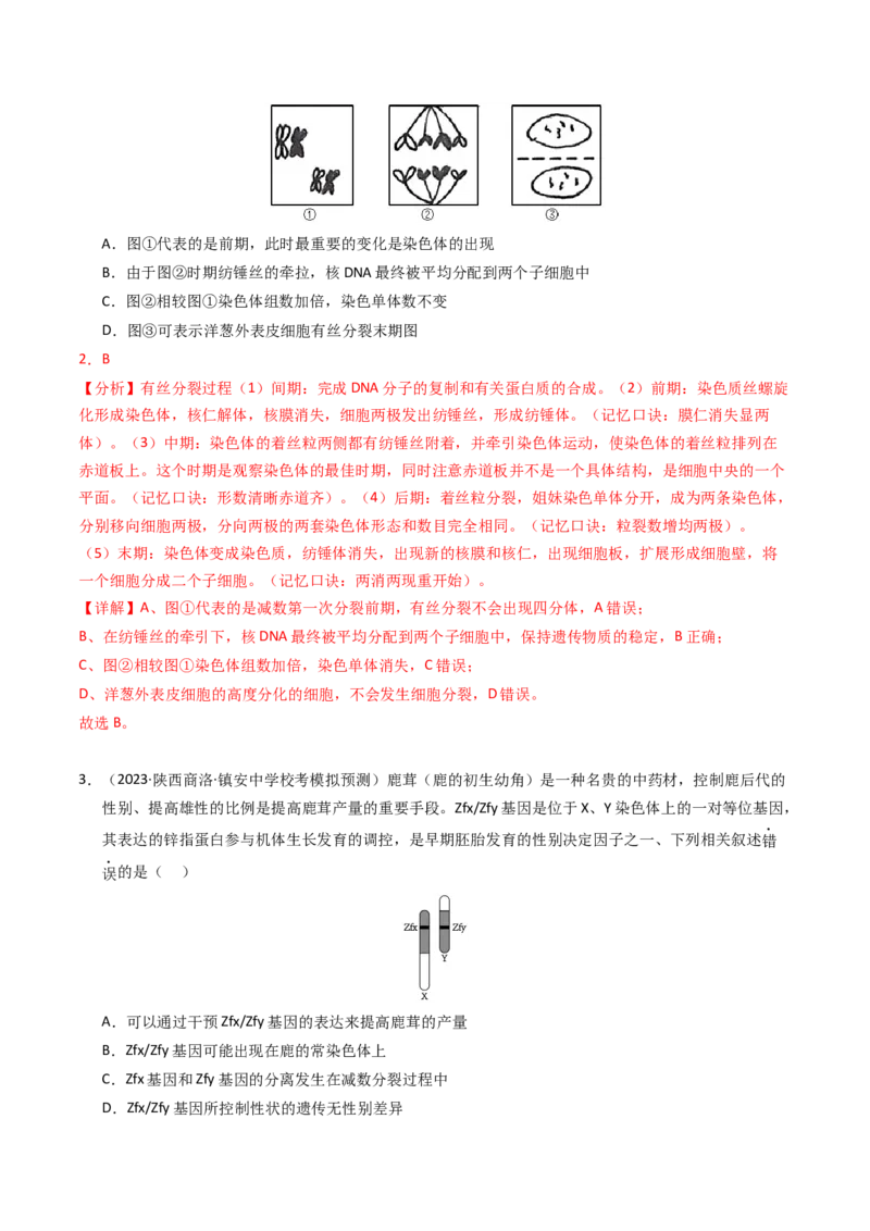 专题09变异、育种与进化（解析卷）_近10年高考真题汇编（必刷）_十年（2014-2024）高考生物真题分项汇编（全国通用）_2023年高考真题和模拟题生物分项汇编（全国通用）