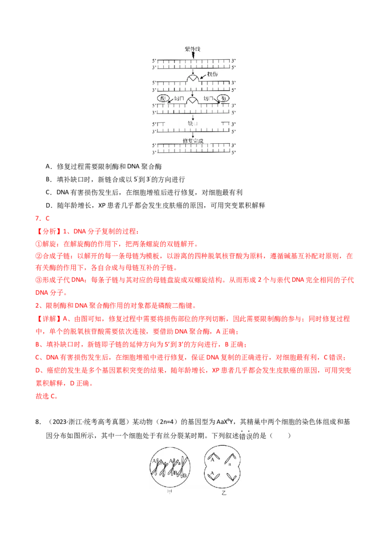 专题09变异、育种与进化（解析卷）_近10年高考真题汇编（必刷）_十年（2014-2024）高考生物真题分项汇编（全国通用）_2023年高考真题和模拟题生物分项汇编（全国通用）