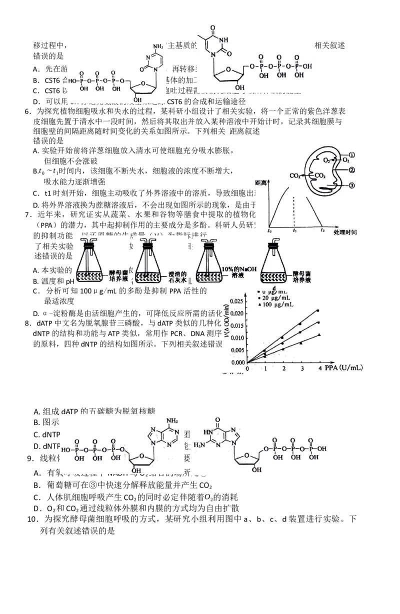安徽省阜阳市太和中学2026届高三上学期10月月考生物试题Word版无答案_2025年10月_251027安徽省阜阳市太和中学2026届高三上学期10月月考（全科）