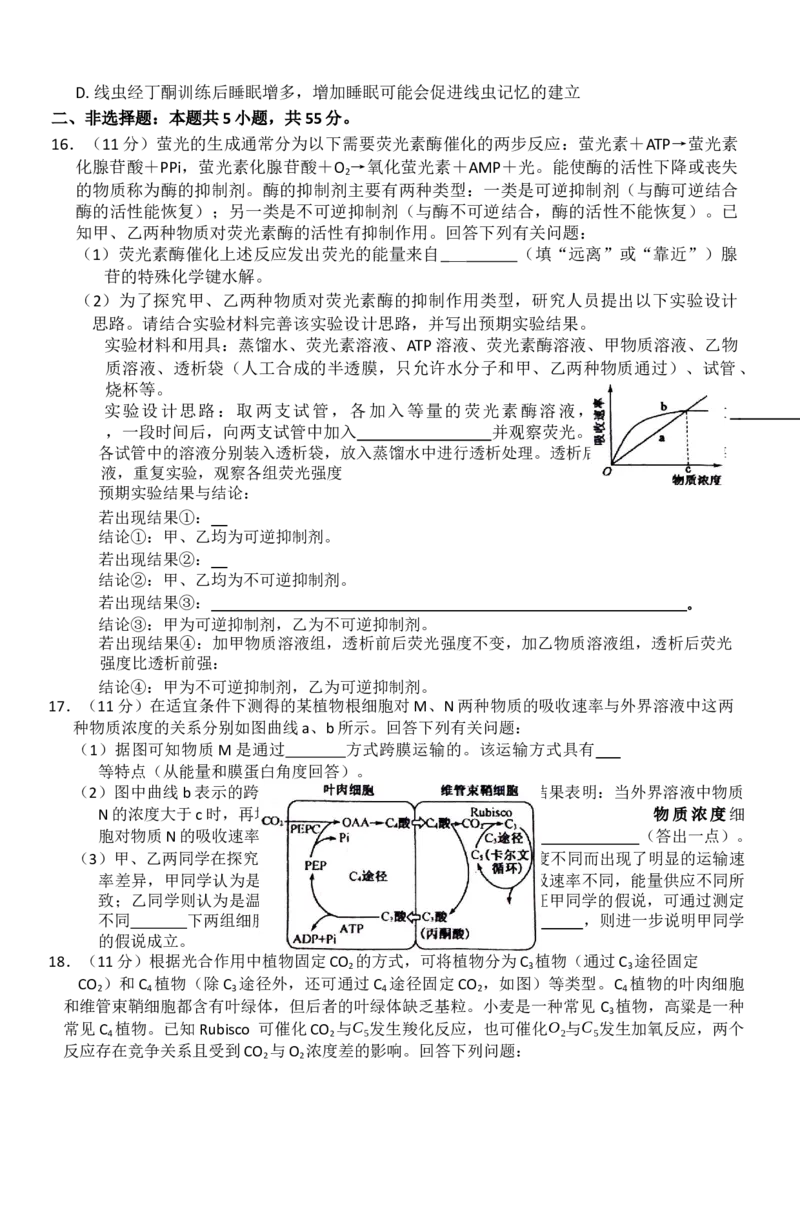 安徽省阜阳市太和中学2026届高三上学期10月月考生物试题Word版无答案_2025年10月_251027安徽省阜阳市太和中学2026届高三上学期10月月考（全科）