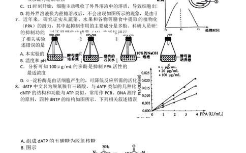 安徽省阜阳市太和中学2026届高三上学期10月月考生物试题Word版无答案_2025年10月_251027安徽省阜阳市太和中学2026届高三上学期10月月考（全科）