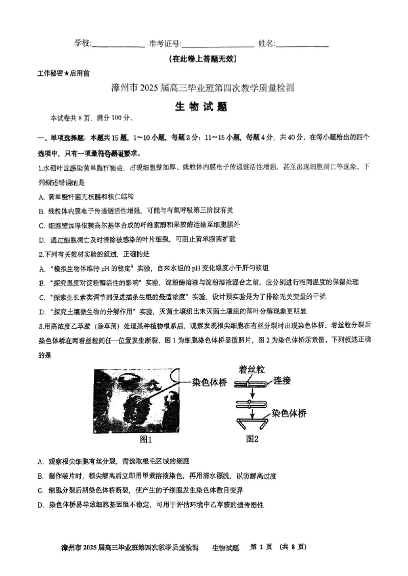 福建省漳州市2025届高三毕业班第四次教学质量检测生物_2025年5月_250513福建省漳州市2025届高三毕业班第四次教学质量检测（漳州四检）（全科）