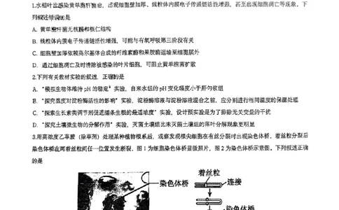 福建省漳州市2025届高三毕业班第四次教学质量检测生物_2025年5月_250513福建省漳州市2025届高三毕业班第四次教学质量检测（漳州四检）（全科）