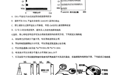 福建省漳州市2025届高三毕业班第四次教学质量检测生物_2025年5月_250513福建省漳州市2025届高三毕业班第四次教学质量检测（漳州四检）（全科）