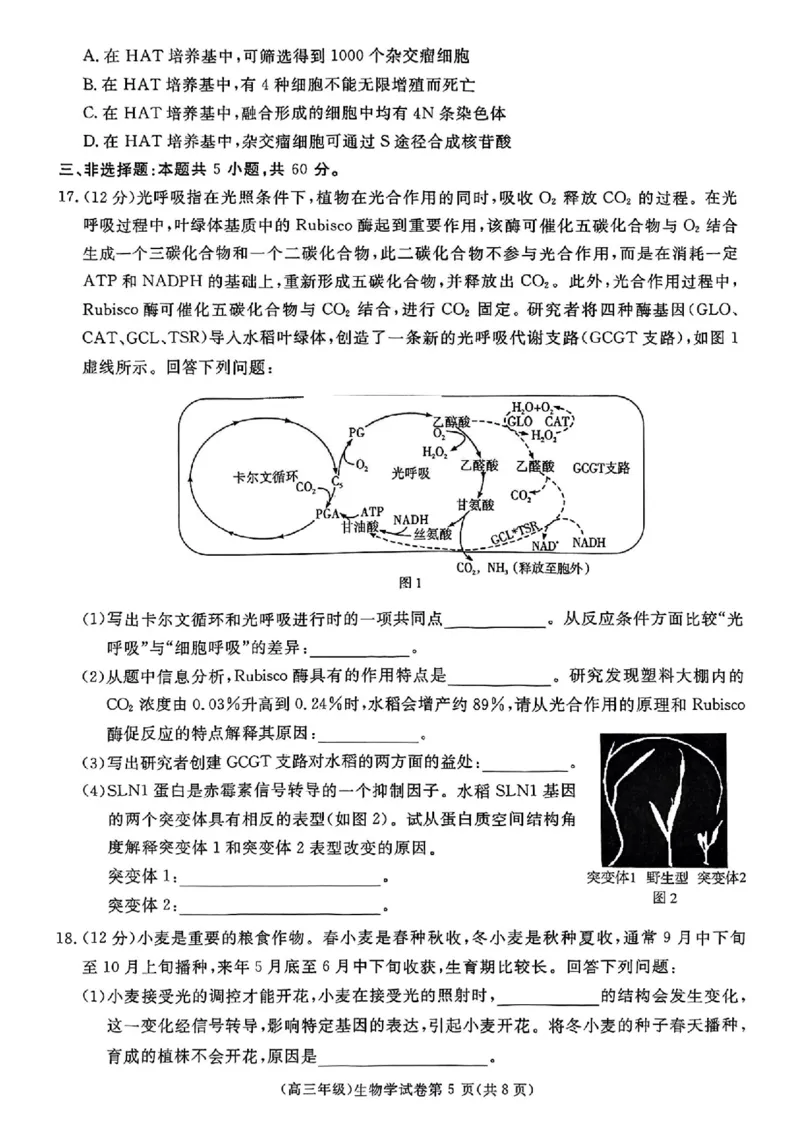 生物_2025年4月_250419江西省赣州市十八县（市、区）二十五校2025届高三下学期期中联考（江西4月质检）（全科）