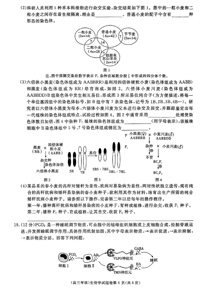 生物_2025年4月_250419江西省赣州市十八县（市、区）二十五校2025届高三下学期期中联考（江西4月质检）（全科）