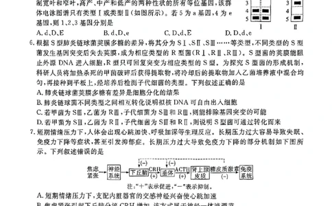 生物_2025年4月_250419江西省赣州市十八县（市、区）二十五校2025届高三下学期期中联考（江西4月质检）（全科）
