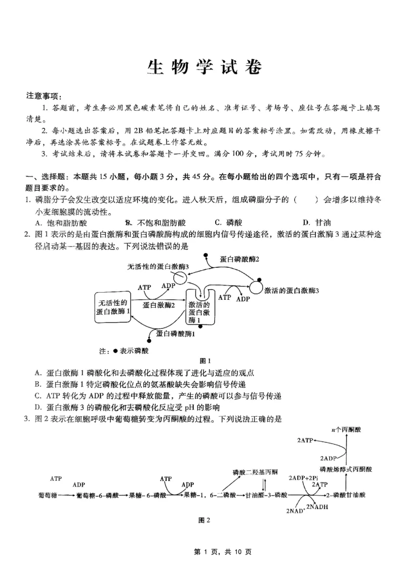 巴蜀中学2025届高考适应性月考卷（七）生物_2025年4月_250414重庆市巴蜀中学2025届高三4月适应性月考卷（七）（全科）_0413重庆市巴蜀中学2025届高三4月适应性月考卷（七）（全）
