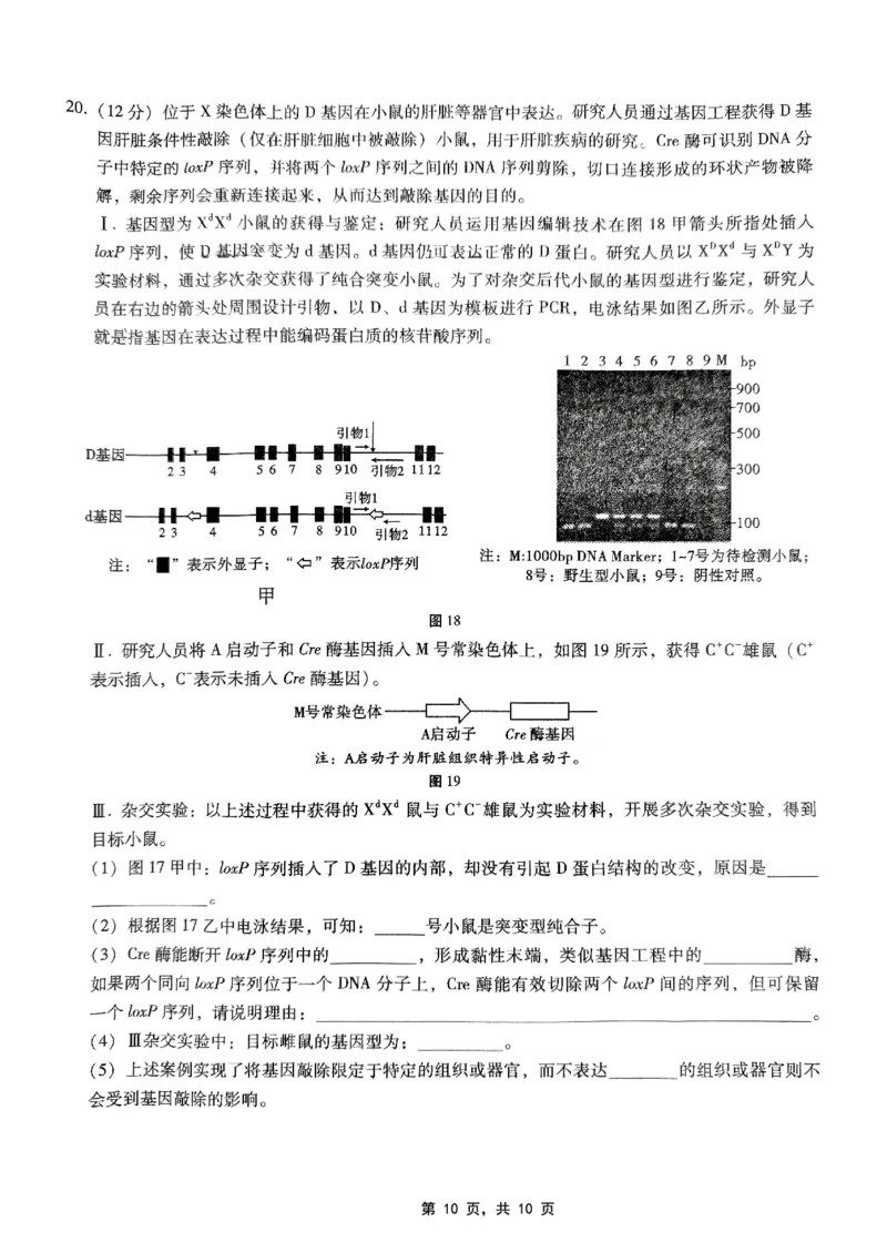 巴蜀中学2025届高考适应性月考卷（七）生物_2025年4月_250414重庆市巴蜀中学2025届高三4月适应性月考卷（七）（全科）_0413重庆市巴蜀中学2025届高三4月适应性月考卷（七）（全）