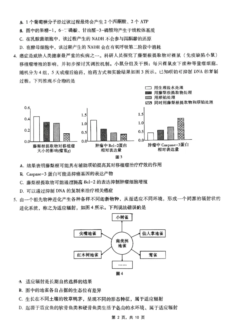 巴蜀中学2025届高考适应性月考卷（七）生物_2025年4月_250414重庆市巴蜀中学2025届高三4月适应性月考卷（七）（全科）_0413重庆市巴蜀中学2025届高三4月适应性月考卷（七）（全）