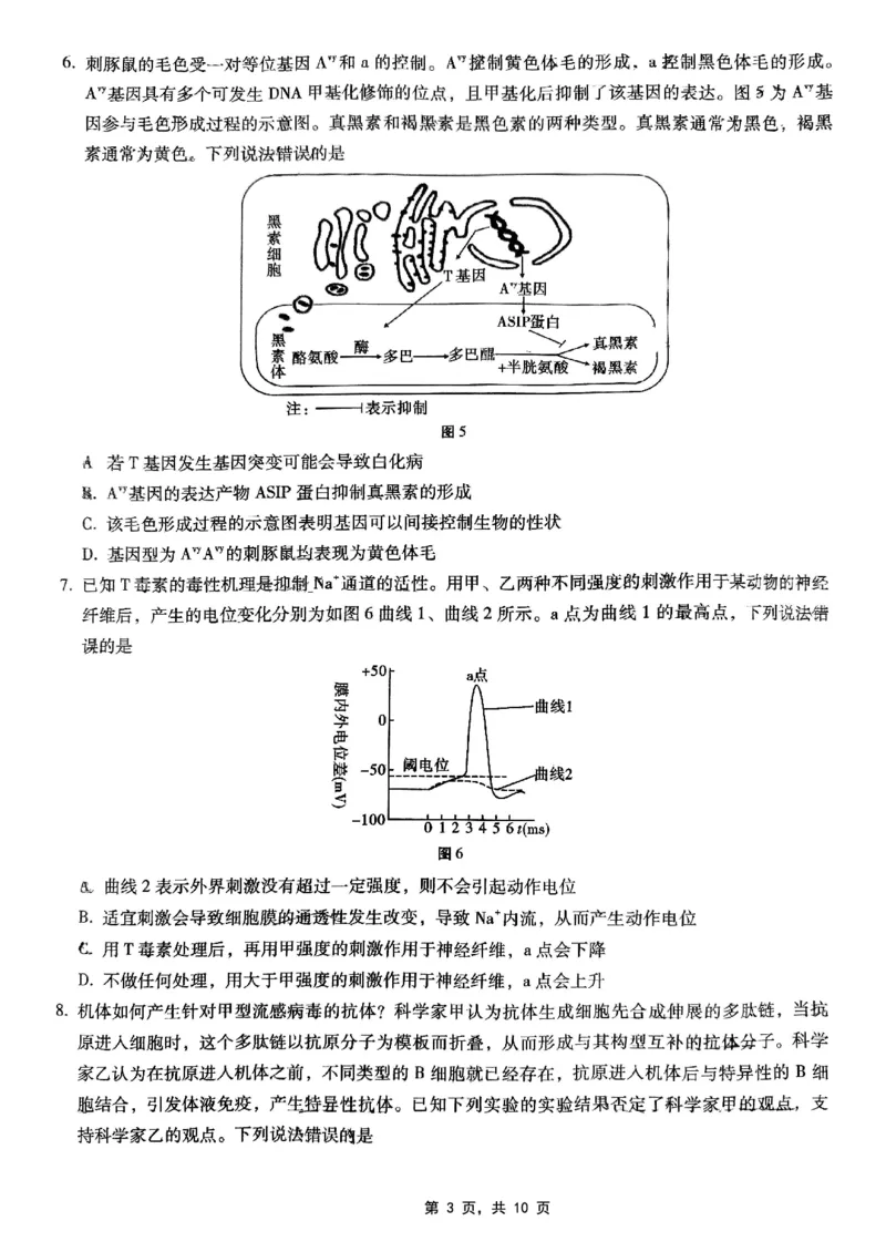 巴蜀中学2025届高考适应性月考卷（七）生物_2025年4月_250414重庆市巴蜀中学2025届高三4月适应性月考卷（七）（全科）_0413重庆市巴蜀中学2025届高三4月适应性月考卷（七）（全）