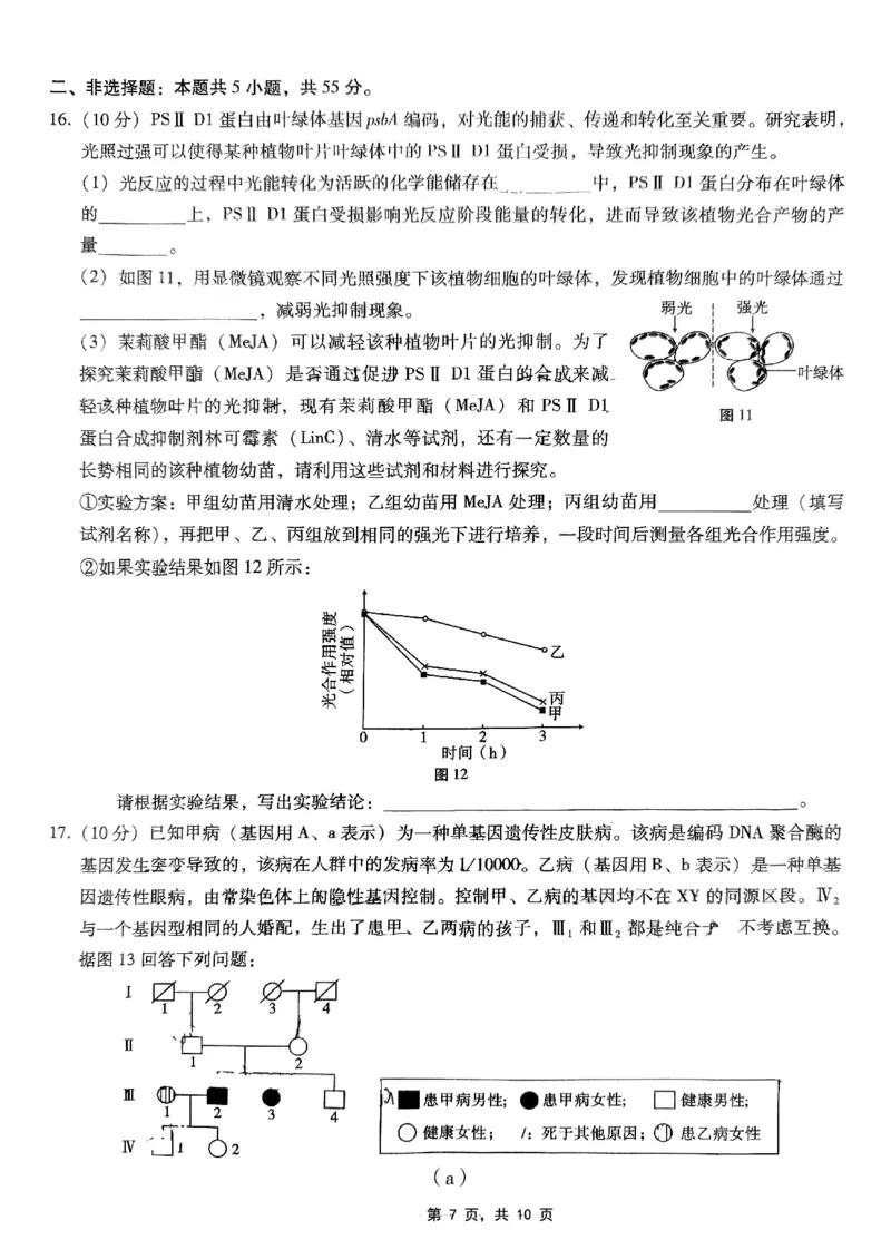 巴蜀中学2025届高考适应性月考卷（七）生物_2025年4月_250414重庆市巴蜀中学2025届高三4月适应性月考卷（七）（全科）_0413重庆市巴蜀中学2025届高三4月适应性月考卷（七）（全）