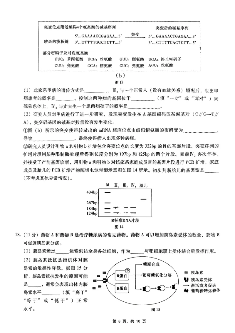 巴蜀中学2025届高考适应性月考卷（七）生物_2025年4月_250414重庆市巴蜀中学2025届高三4月适应性月考卷（七）（全科）_0413重庆市巴蜀中学2025届高三4月适应性月考卷（七）（全）