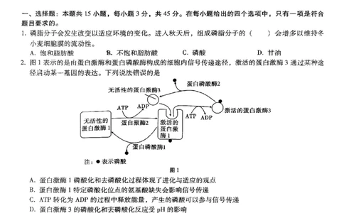 巴蜀中学2025届高考适应性月考卷（七）生物_2025年4月_250414重庆市巴蜀中学2025届高三4月适应性月考卷（七）（全科）_0413重庆市巴蜀中学2025届高三4月适应性月考卷（七）（全）