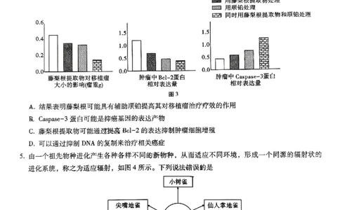 巴蜀中学2025届高考适应性月考卷（七）生物_2025年4月_250414重庆市巴蜀中学2025届高三4月适应性月考卷（七）（全科）_0413重庆市巴蜀中学2025届高三4月适应性月考卷（七）（全）