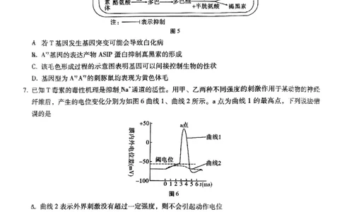 巴蜀中学2025届高考适应性月考卷（七）生物_2025年4月_250414重庆市巴蜀中学2025届高三4月适应性月考卷（七）（全科）_0413重庆市巴蜀中学2025届高三4月适应性月考卷（七）（全）