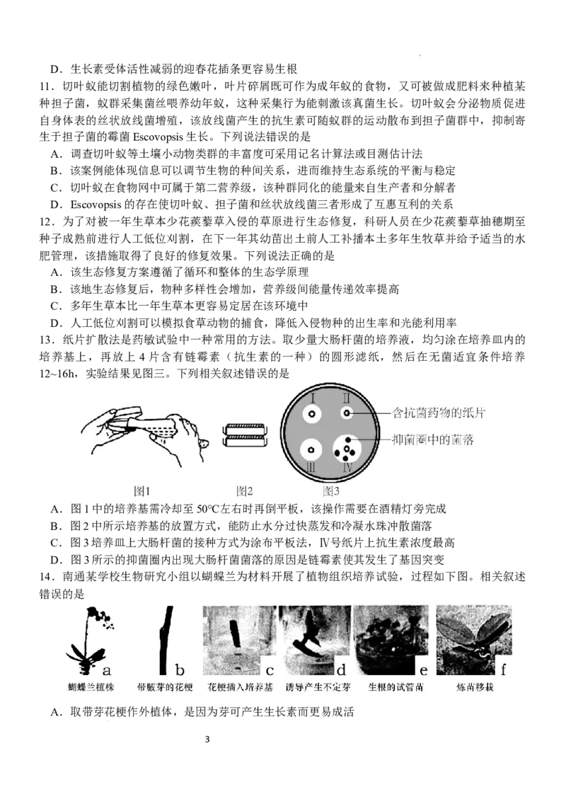 江苏省扬州中学2024-2025学年高三下学期2月月考生物试题+答案_2025年2月_250225江苏省扬州中学2024-2025学年高三下学期2月月考