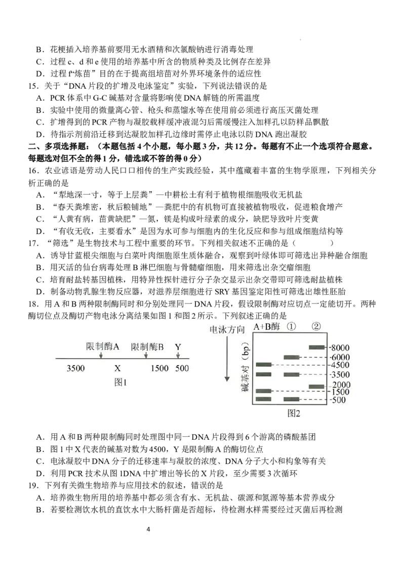 江苏省扬州中学2024-2025学年高三下学期2月月考生物试题+答案_2025年2月_250225江苏省扬州中学2024-2025学年高三下学期2月月考