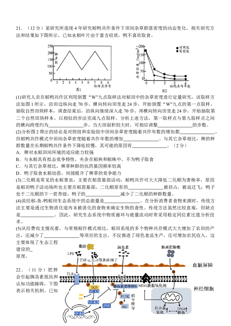 江苏省扬州中学2024-2025学年高三下学期2月月考生物试题+答案_2025年2月_250225江苏省扬州中学2024-2025学年高三下学期2月月考