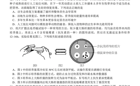 江苏省扬州中学2024-2025学年高三下学期2月月考生物试题+答案_2025年2月_250225江苏省扬州中学2024-2025学年高三下学期2月月考