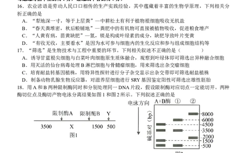 江苏省扬州中学2024-2025学年高三下学期2月月考生物试题+答案_2025年2月_250225江苏省扬州中学2024-2025学年高三下学期2月月考