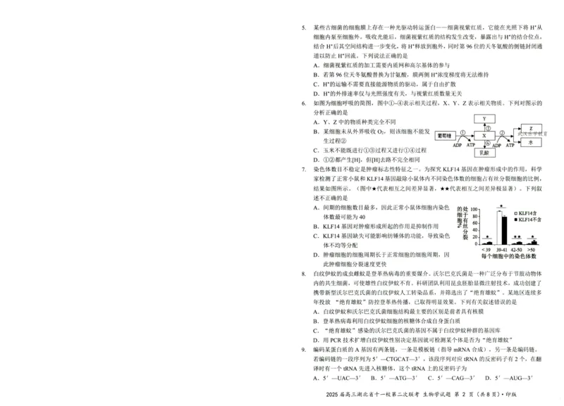 湖北十一校第二次联考生物试卷_2025年3月_250326湖北省十一校2025届高三第二次联考（全科）_生物