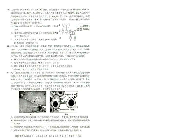 湖北十一校第二次联考生物试卷_2025年3月_250326湖北省十一校2025届高三第二次联考（全科）_生物