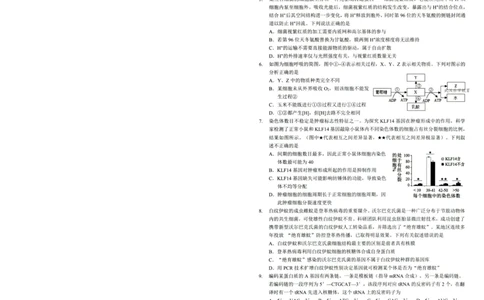 湖北十一校第二次联考生物试卷_2025年3月_250326湖北省十一校2025届高三第二次联考（全科）_生物