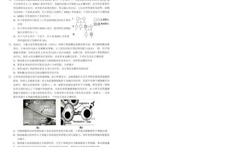 湖北十一校第二次联考生物试卷_2025年3月_250326湖北省十一校2025届高三第二次联考（全科）_生物