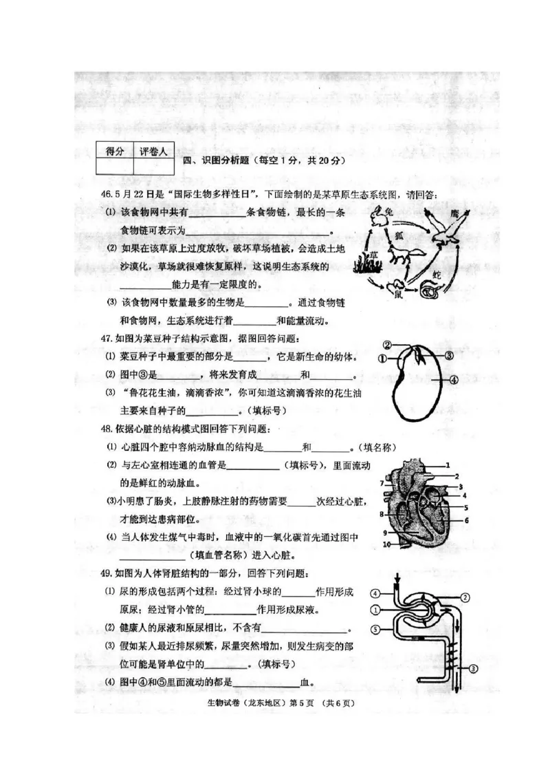 黑龙江省龙东地区2017年中考生物真题试题（扫描版，含答案）_中考真题_8.生物中考真题2015-2024年_2017年全国中考生物124份