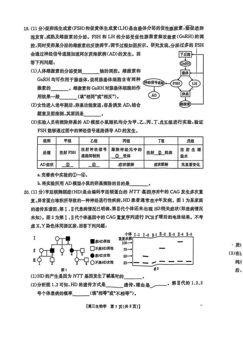 陕西省商洛市2025届高三第三次模拟检测生物试卷（含答案）_2025年3月_250330陕西省商洛市2025届高三第三次模拟检测（金太阳438C）（全科）
