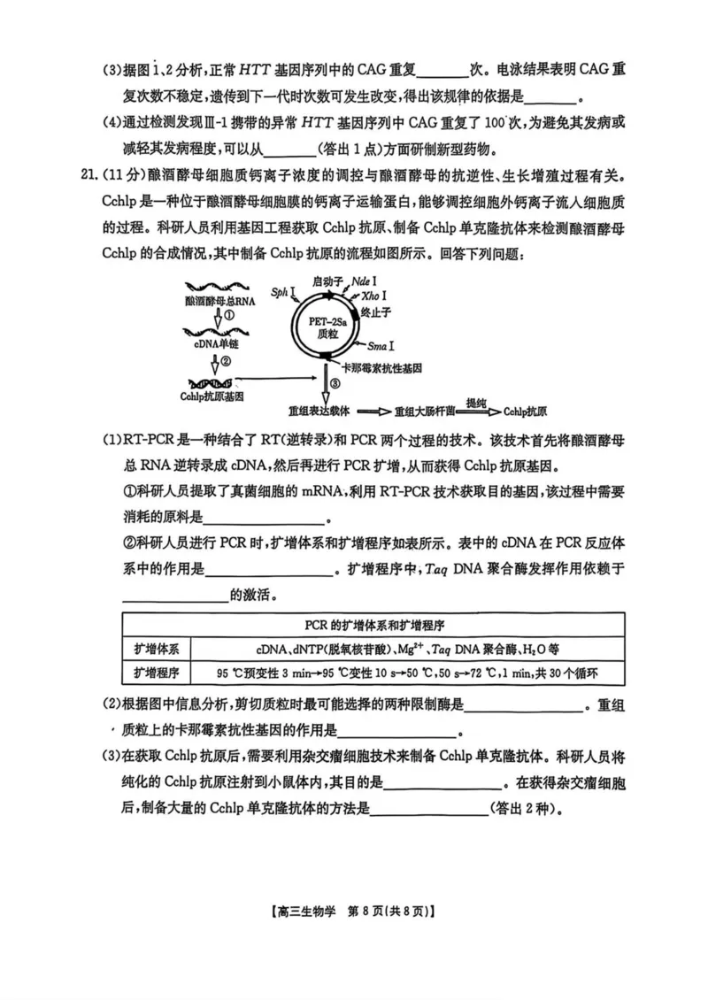 陕西省商洛市2025届高三第三次模拟检测生物试卷（含答案）_2025年3月_250330陕西省商洛市2025届高三第三次模拟检测（金太阳438C）（全科）