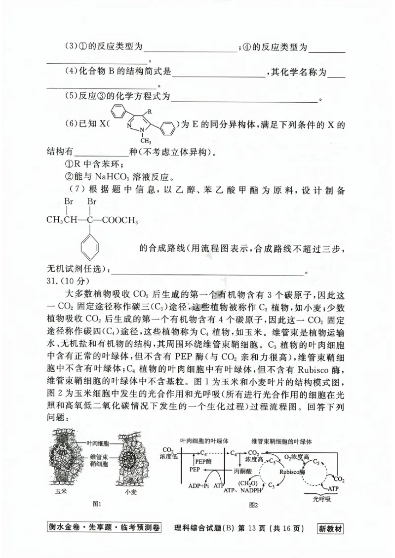 2023衡水临考预测（全国卷新教材）理综b卷_2023高考押题卷_2023衡水临考预测（全国卷新教材）