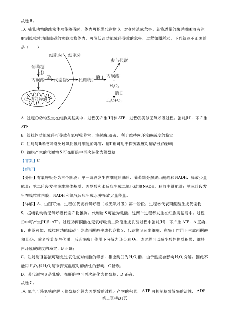 精品解析：山西省山西大学附属中学校2025-2026学年高三上学期8月月考生物试题（解析版）_2025年8月_250813山西省山西大学附属中学校2025-2026学年高三上学期8月（总第一次）模块诊断