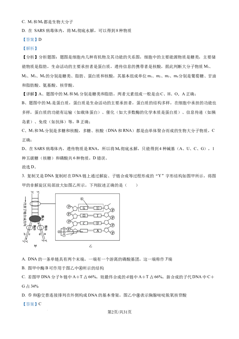 精品解析：山西省山西大学附属中学校2025-2026学年高三上学期8月月考生物试题（解析版）_2025年8月_250813山西省山西大学附属中学校2025-2026学年高三上学期8月（总第一次）模块诊断