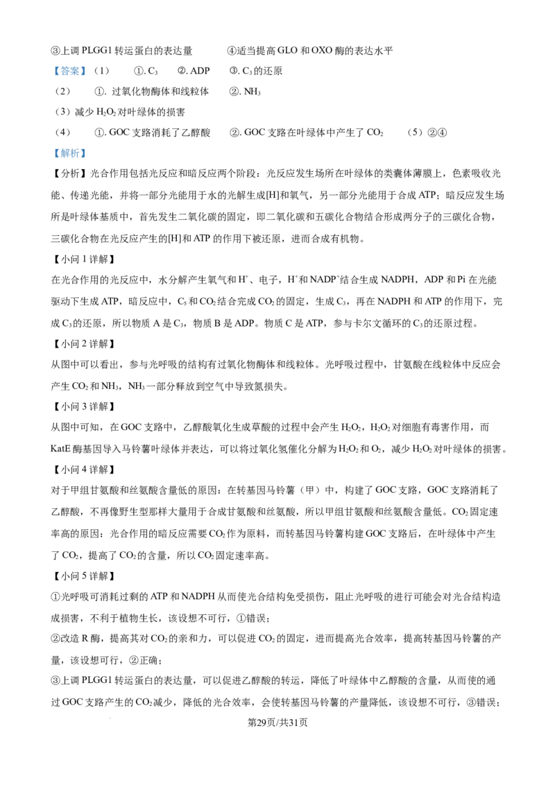 精品解析：山西省山西大学附属中学校2025-2026学年高三上学期8月月考生物试题（解析版）_2025年8月_250813山西省山西大学附属中学校2025-2026学年高三上学期8月（总第一次）模块诊断