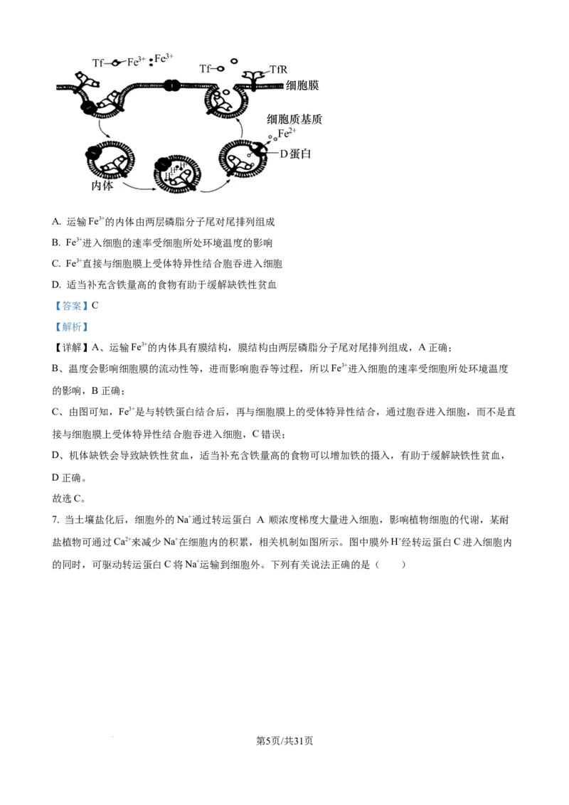 精品解析：山西省山西大学附属中学校2025-2026学年高三上学期8月月考生物试题（解析版）_2025年8月_250813山西省山西大学附属中学校2025-2026学年高三上学期8月（总第一次）模块诊断