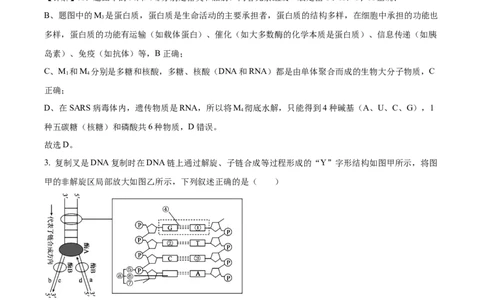 精品解析：山西省山西大学附属中学校2025-2026学年高三上学期8月月考生物试题（解析版）_2025年8月_250813山西省山西大学附属中学校2025-2026学年高三上学期8月（总第一次）模块诊断