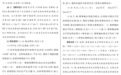 大教育山东联盟2025届高三质量检测第二次联考生物答案_2025年4月_250414山东省大教育山东联盟2025届高三质量检测第二次联考（全科）