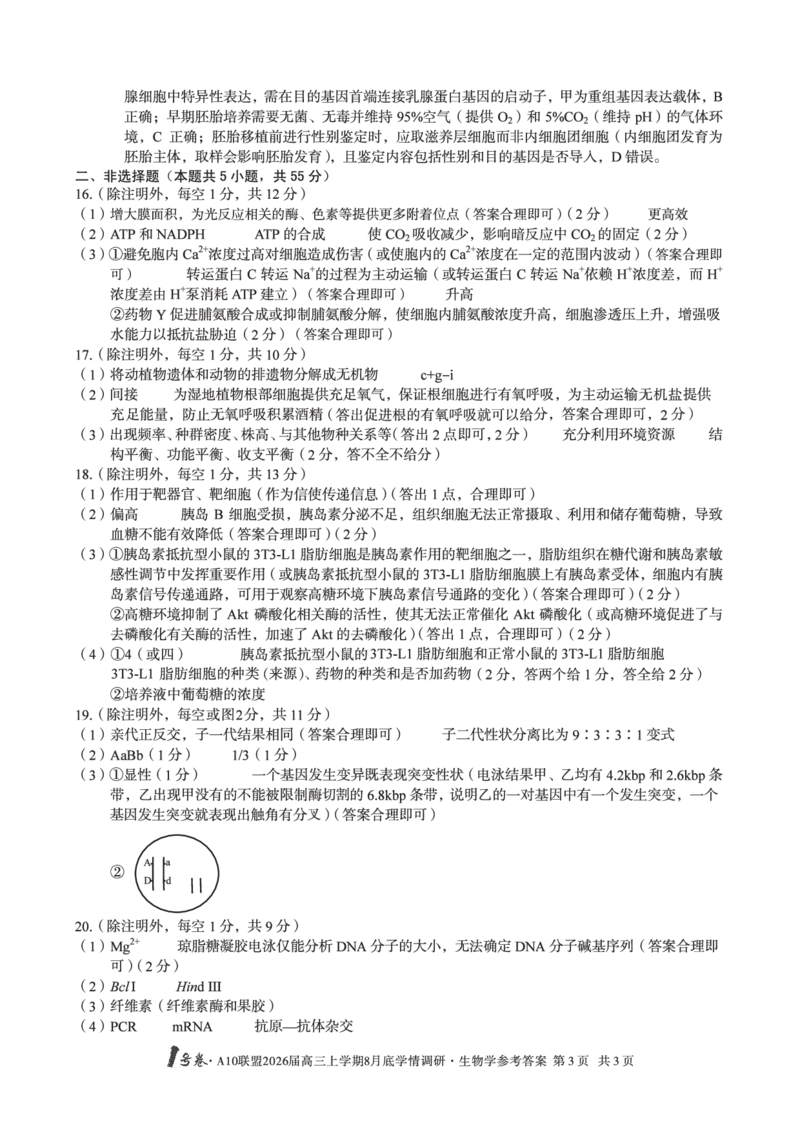 生物学1号卷&middot;A10联盟2026届高三上学期8月底学情调研生物学答案_2025年8月_2508291号卷&middot;A10联盟2026届高三上学期8月底学情调研（全科）