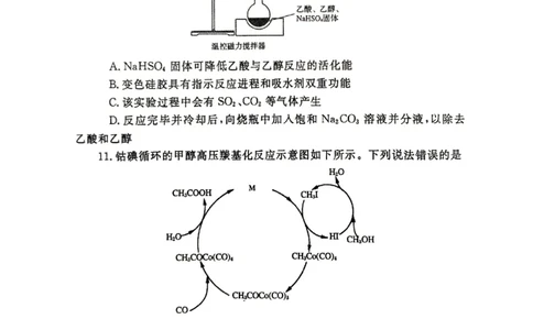 河南省郑州市2025届高三第一次质量预测化学_2025年1月_250119河南省郑州市2025届高三第一次质量预测试卷（全科）_河南省郑州市2025届高三第一次质量预测化学