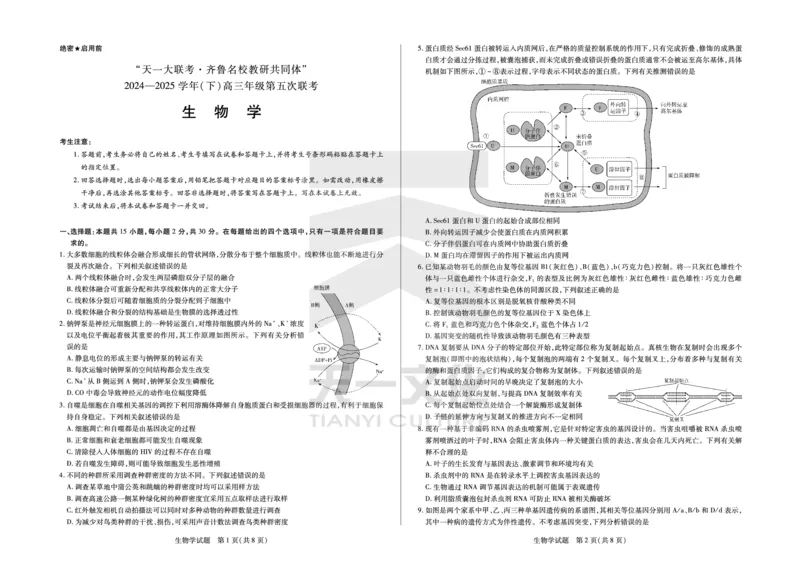 生物学齐鲁名校高三五联_2025年4月_250401山东省天一大联考&middot;齐鲁名校教研体2024-2025学年（下）高三年级第五次联考（全科）