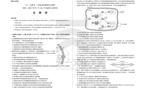 生物学齐鲁名校高三五联_2025年4月_250401山东省天一大联考&middot;齐鲁名校教研体2024-2025学年（下）高三年级第五次联考（全科）
